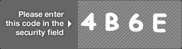 captcha code for visual authentication  number 4 letter B number 6 letter E